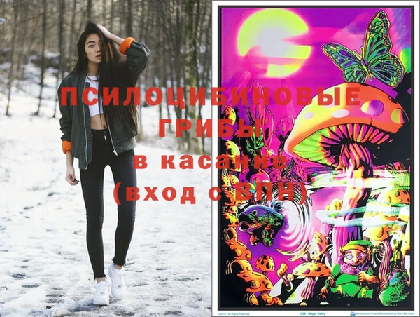 индика Барнаул