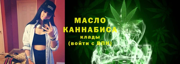 индика Барнаул