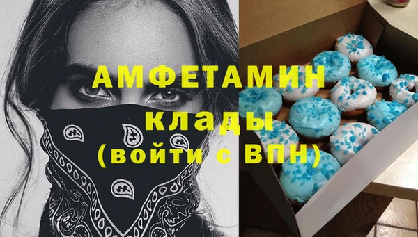 индика Надым