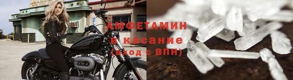 индика Надым