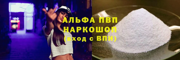 индика Надым