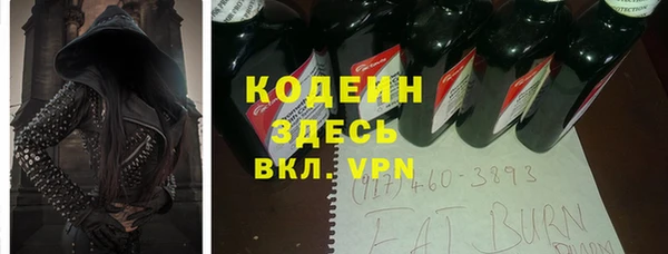 индика Надым