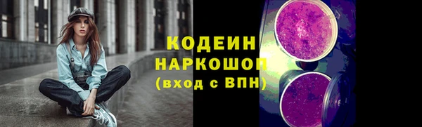 индика Надым