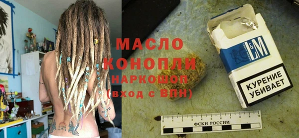 индика Надым