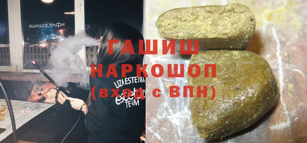 индика Надым