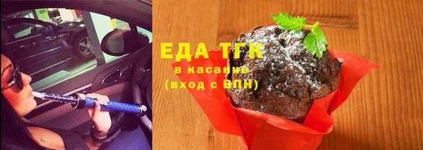 индика Надым