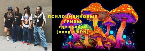 индика Надым