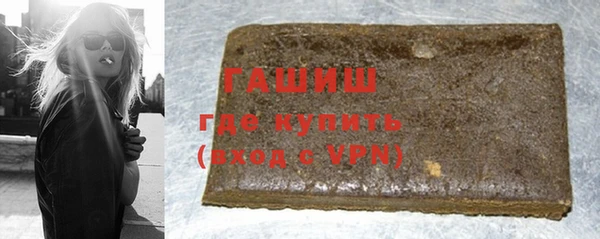 индика Надым