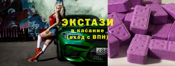 индика Надым