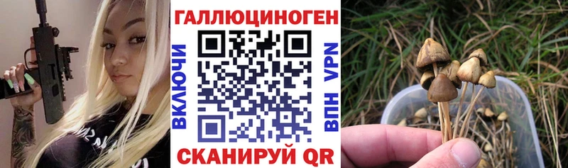 нарко площадка клад  Балашиха  Псилоцибиновые грибы Psilocybe  что такое наркотик 