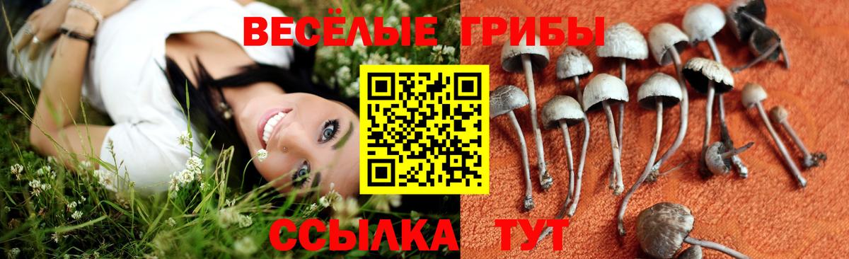 Галлюциногенные грибы ЛСД Балашиха